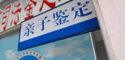 合肥上户口亲子鉴定收费标准，合肥上户口亲子鉴定详细流程及材料
