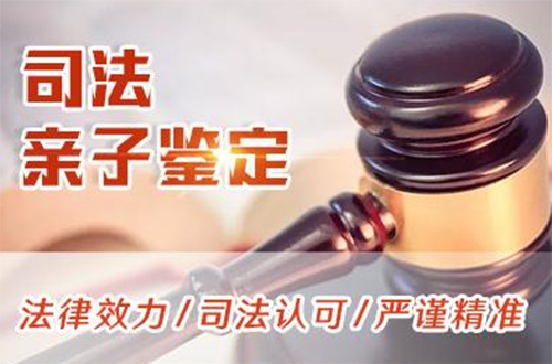 合肥司法亲子鉴定的流程,