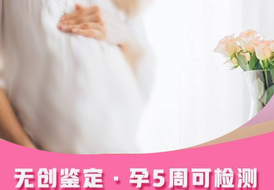 合肥怀孕几个月如何做胎儿DNA亲子鉴定,合肥无创孕期亲子鉴定多少钱 合肥怀孕几个月如何做胎儿DNA亲子鉴定,合肥无创孕期亲子鉴定多少钱
