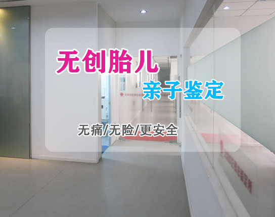在[合肥]刚怀孕要如何办理亲子鉴定,合肥产前亲子鉴定收费标准是多少