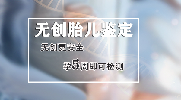 合肥怀孕几个月如何做胎儿DNA亲子鉴定,合肥无创孕期亲子鉴定多少钱 合肥怀孕几个月如何做胎儿DNA亲子鉴定,合肥无创孕期亲子鉴定多少钱