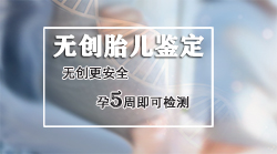 合肥怀孕几个月如何做胎儿DNA亲子鉴定,合肥无创孕期亲子鉴定多少钱 合肥怀孕几个月如何做胎儿DNA亲子鉴定,合肥无创孕期亲子鉴定多少钱