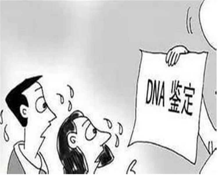 合肥隐私亲子鉴定办理条件,