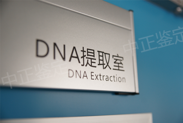 合肥户籍亲子鉴定多少钱,合肥户籍亲子鉴定电话是多少 合肥户籍亲子鉴定多少钱,合肥户籍亲子鉴定电话是多少