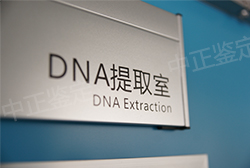 合肥哪里做亲子鉴定,合肥亲子鉴定费用是多少 合肥哪里做亲子鉴定,合肥亲子鉴定费用是多少