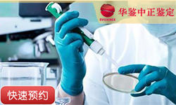 合肥同一父系亲缘鉴定